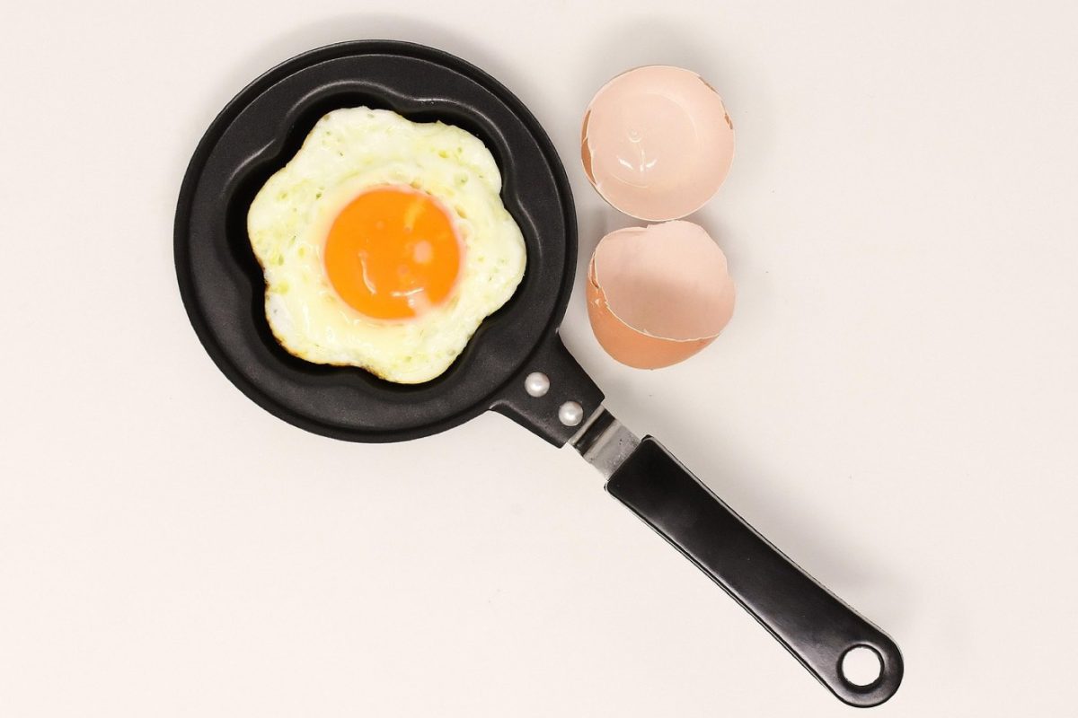 Recettes rapides post-entrainement riches en protéines